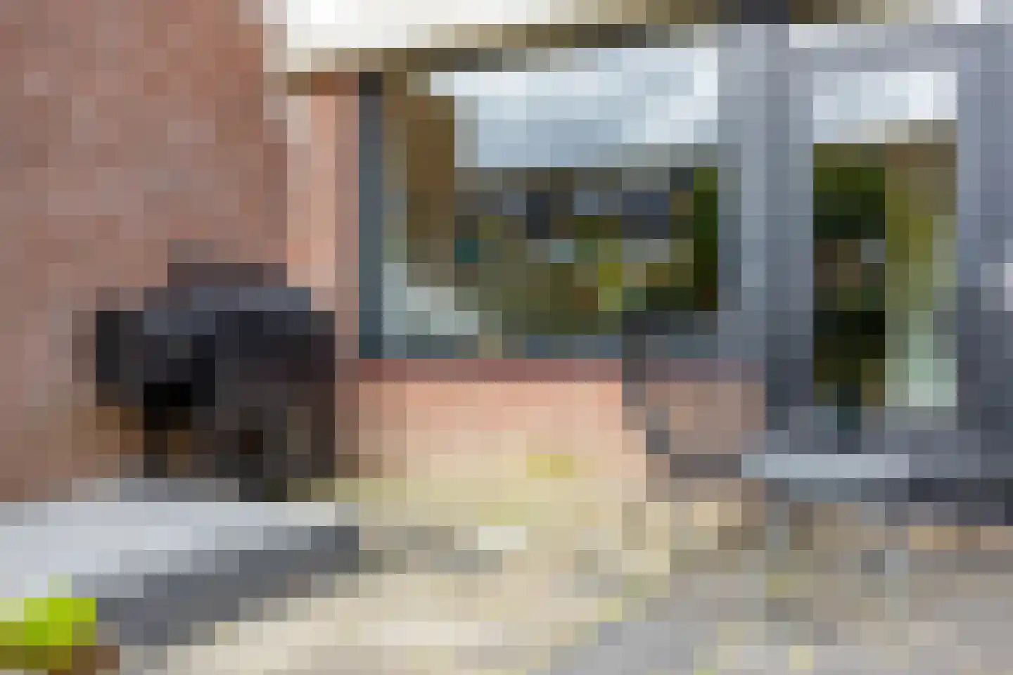 De Geldersman 18 Huizen thumbnail 55