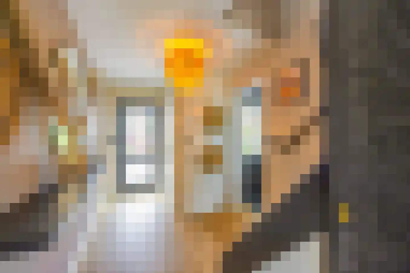 De Geldersman 18 Huizen thumbnail 6