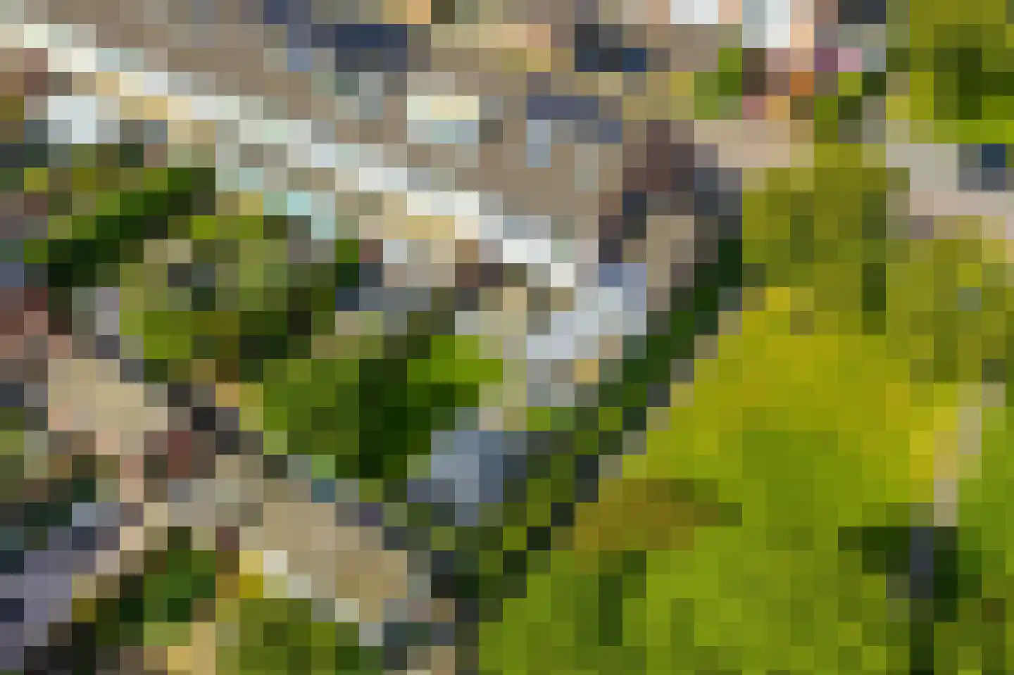 De Geldersman 18 Huizen thumbnail 64