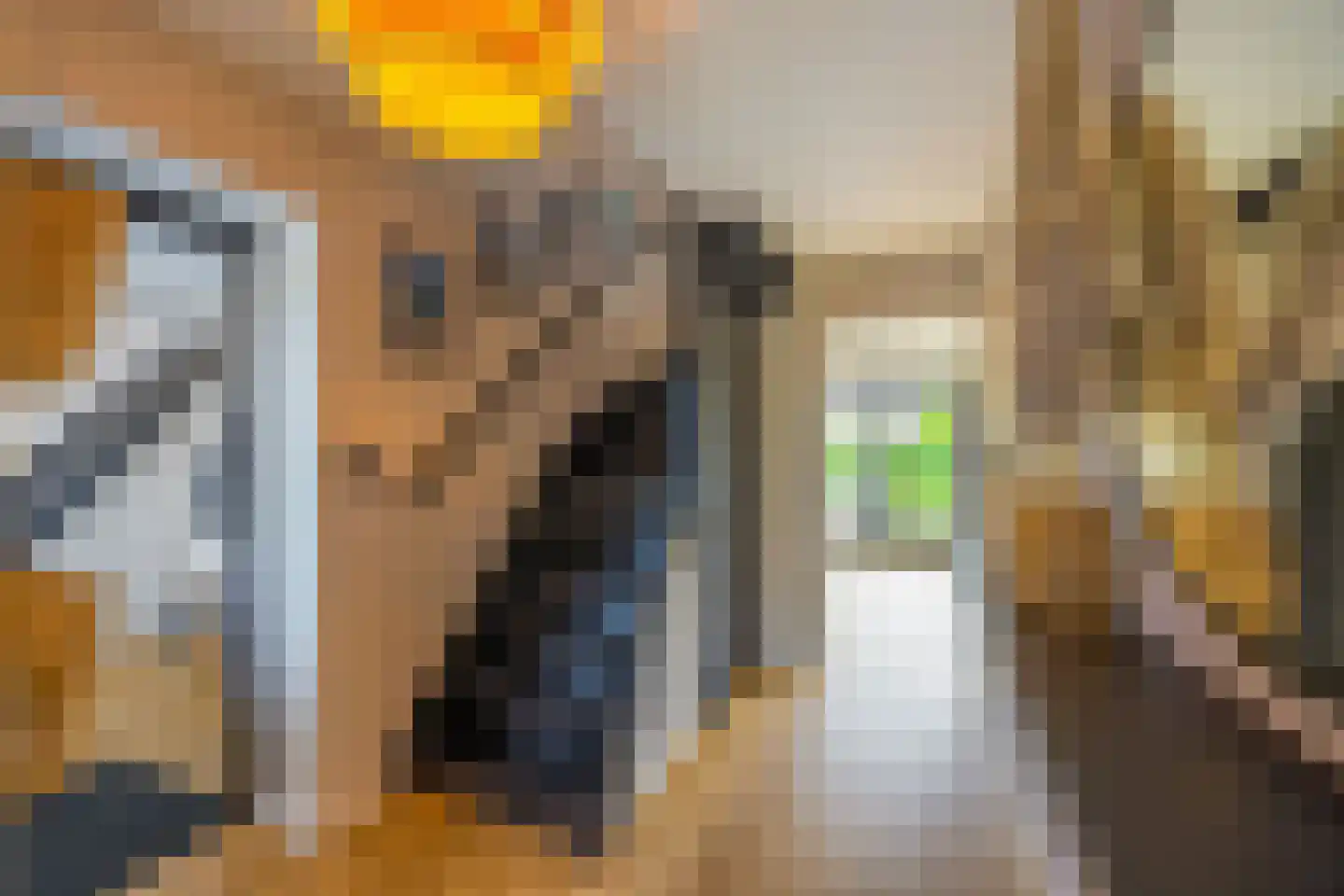 De Geldersman 18 Huizen thumbnail 7