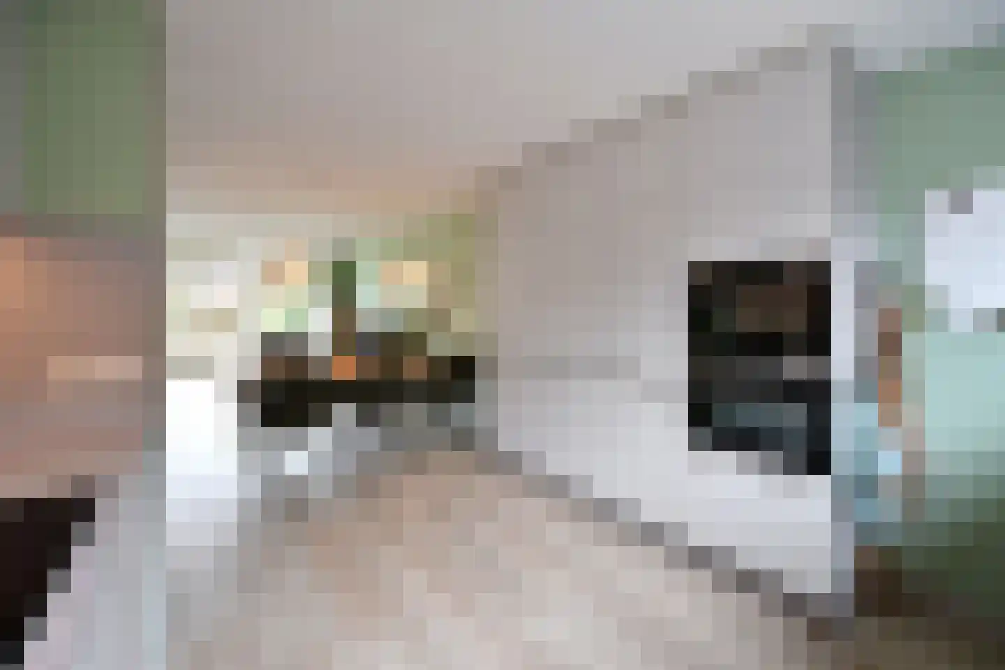 De Geldersman 22 Huizen thumbnail 11