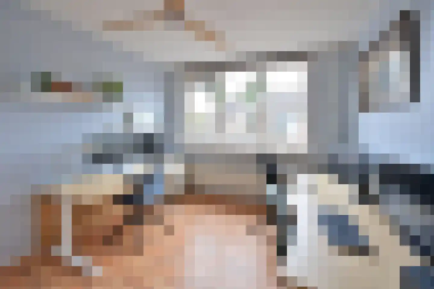 De Geldersman 22 Huizen thumbnail 15