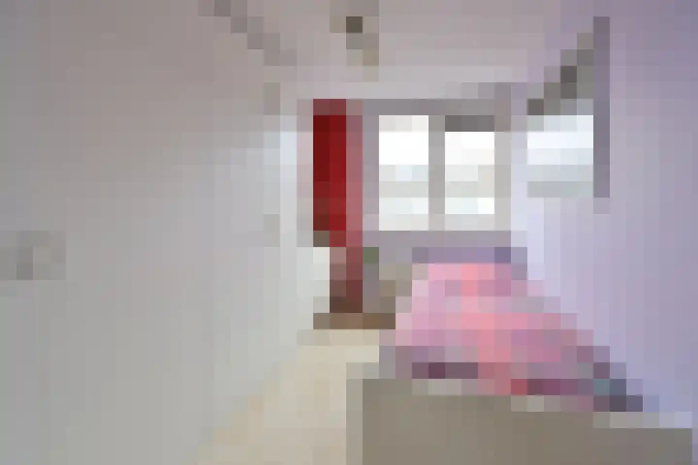 De Geldersman 22 Huizen thumbnail 16