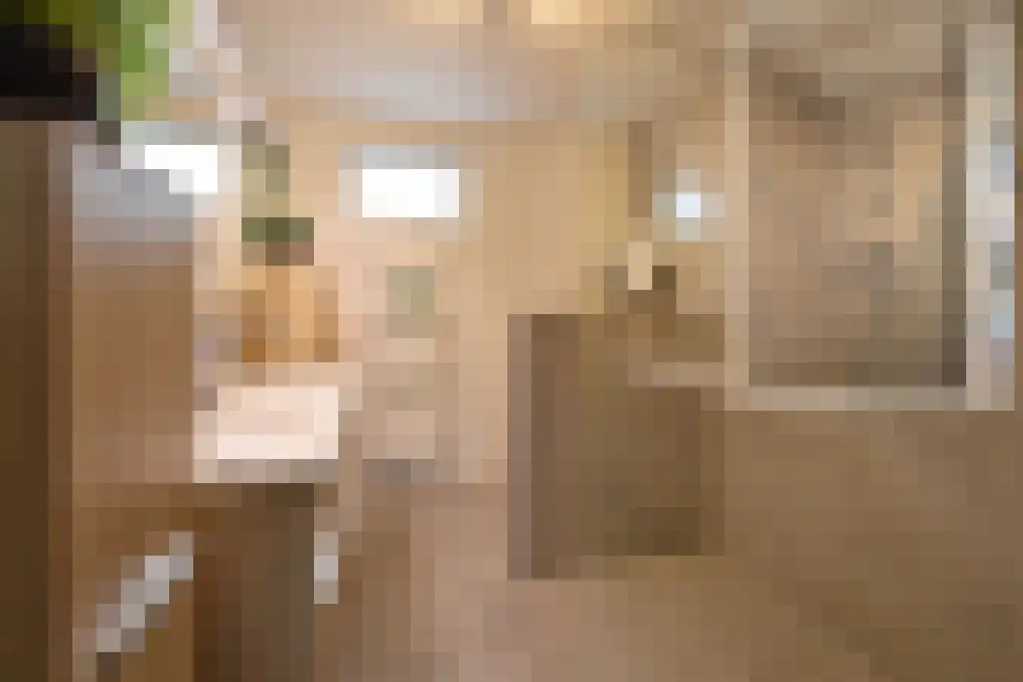 De Geldersman 22 Huizen thumbnail 17