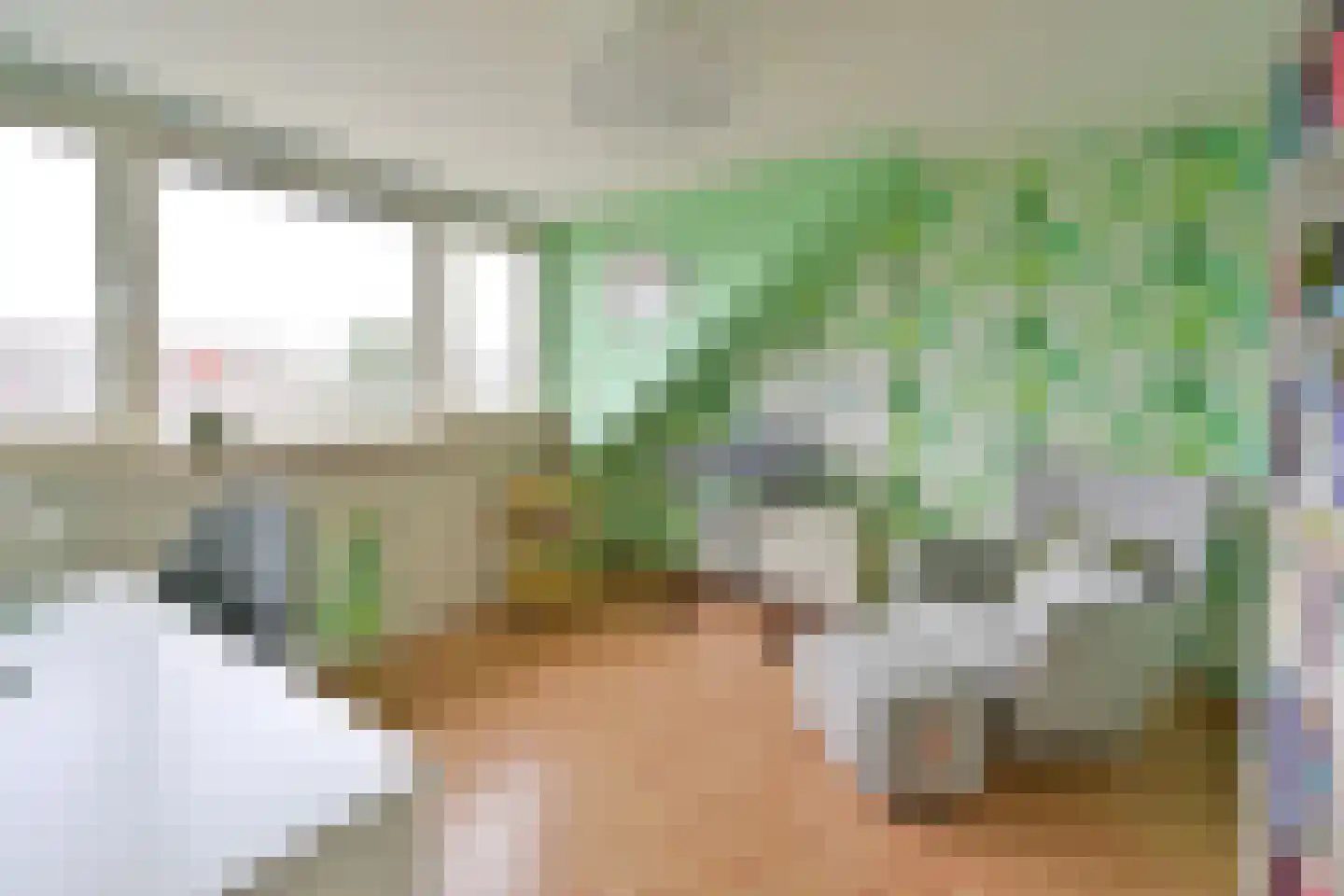 De Geldersman 22 Huizen thumbnail 18