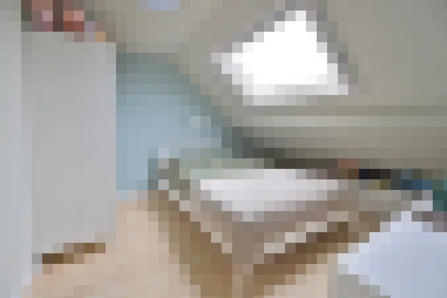 De Geldersman 22 Huizen thumbnail 19