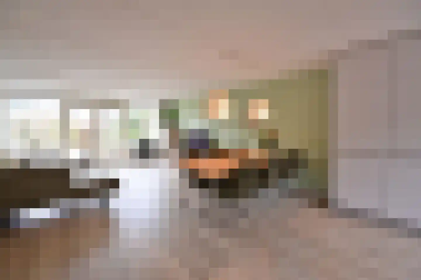 De Geldersman 22 Huizen thumbnail 6