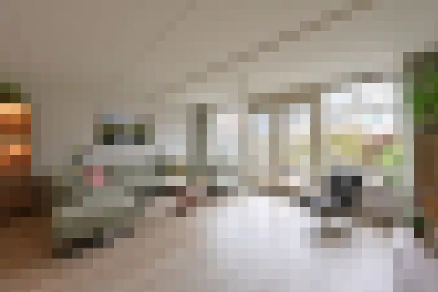 De Geldersman 22 Huizen thumbnail 7