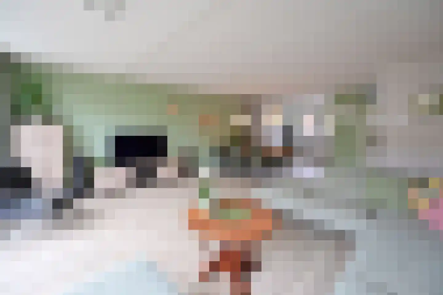 De Geldersman 22 Huizen thumbnail 9