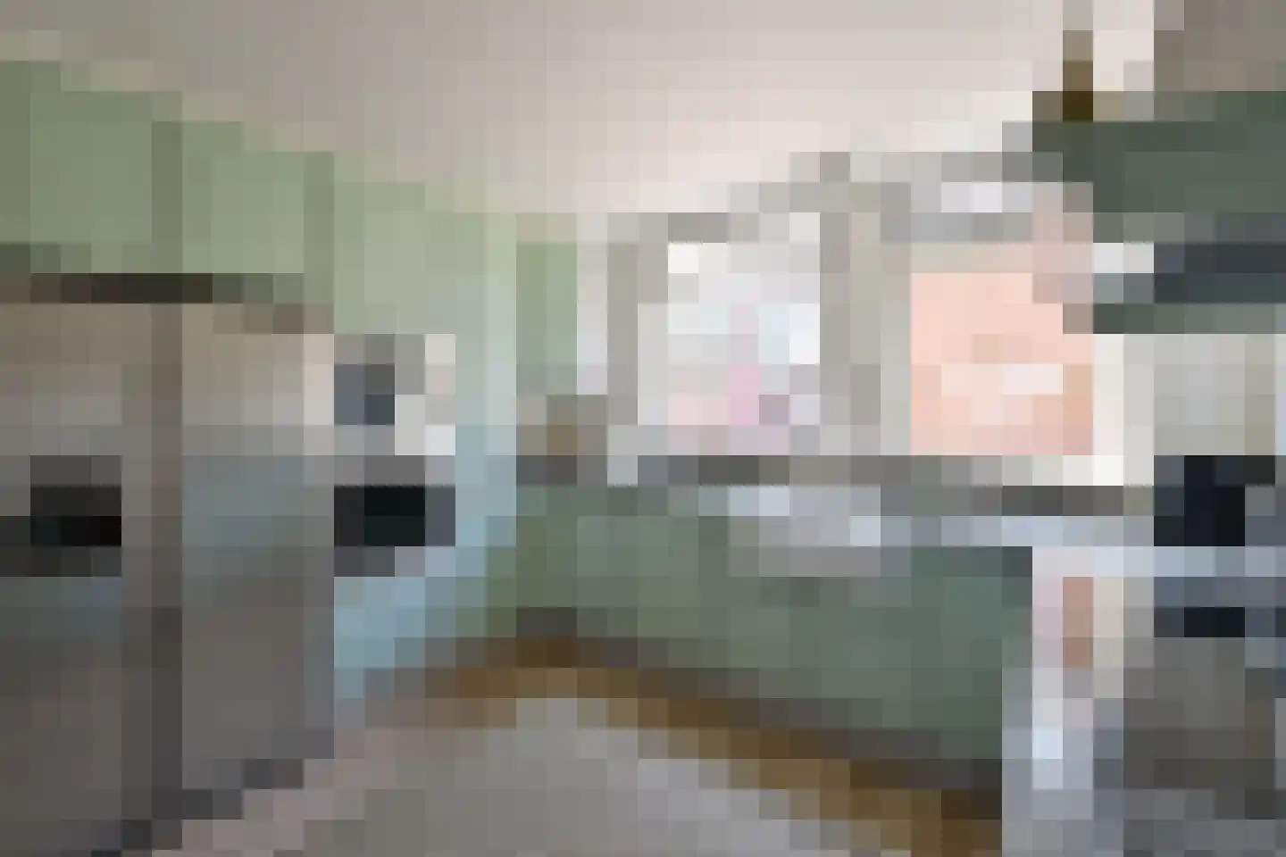 De Geldersman 24 Huizen thumbnail 10