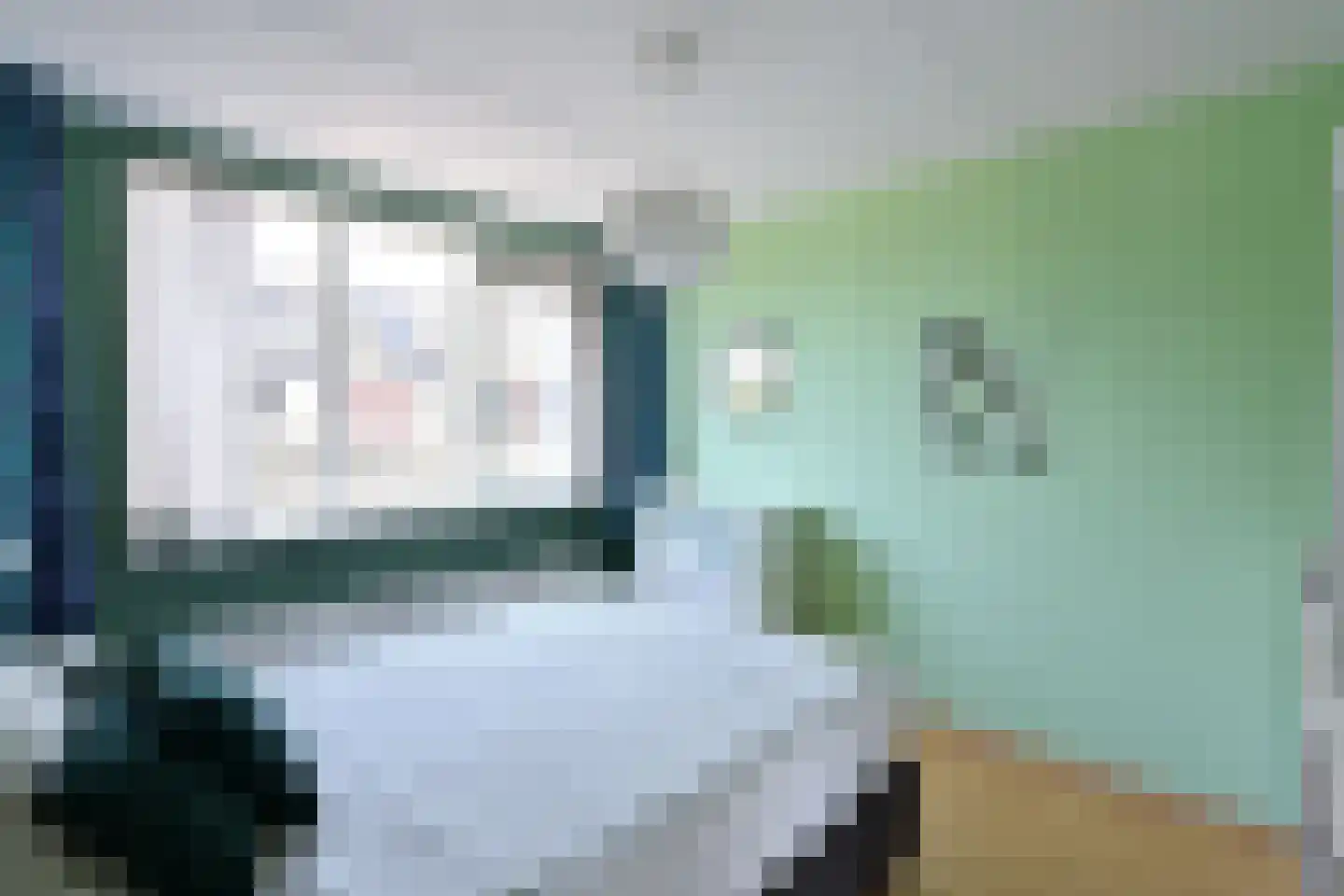 De Geldersman 24 Huizen thumbnail 14