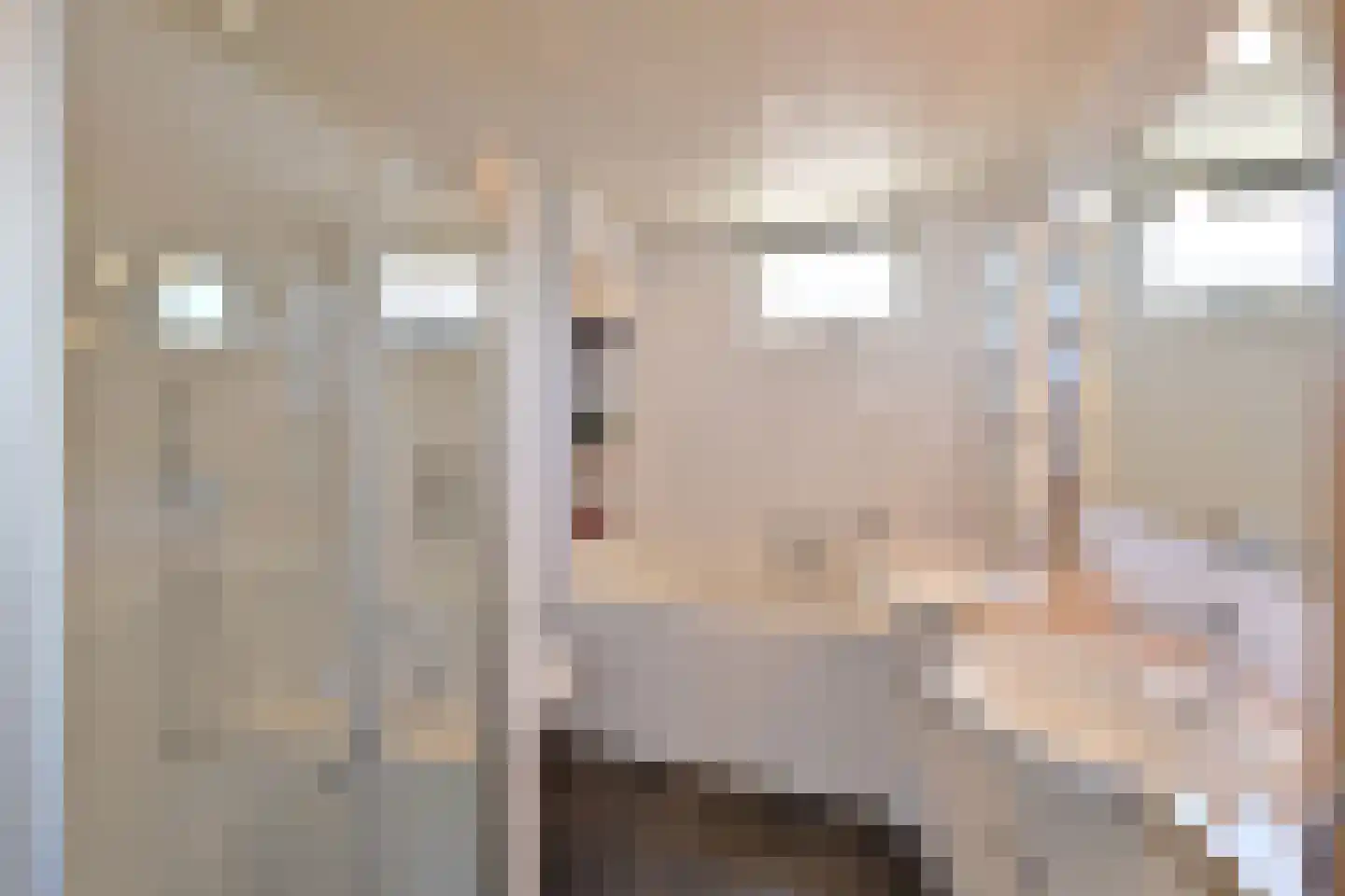 De Geldersman 24 Huizen thumbnail 16