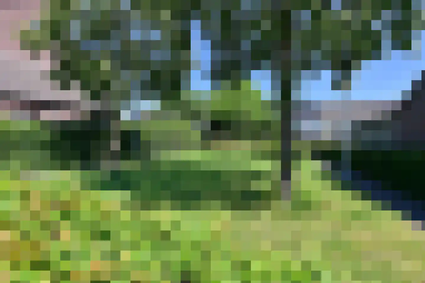 De Geldersman 24 Huizen thumbnail 21