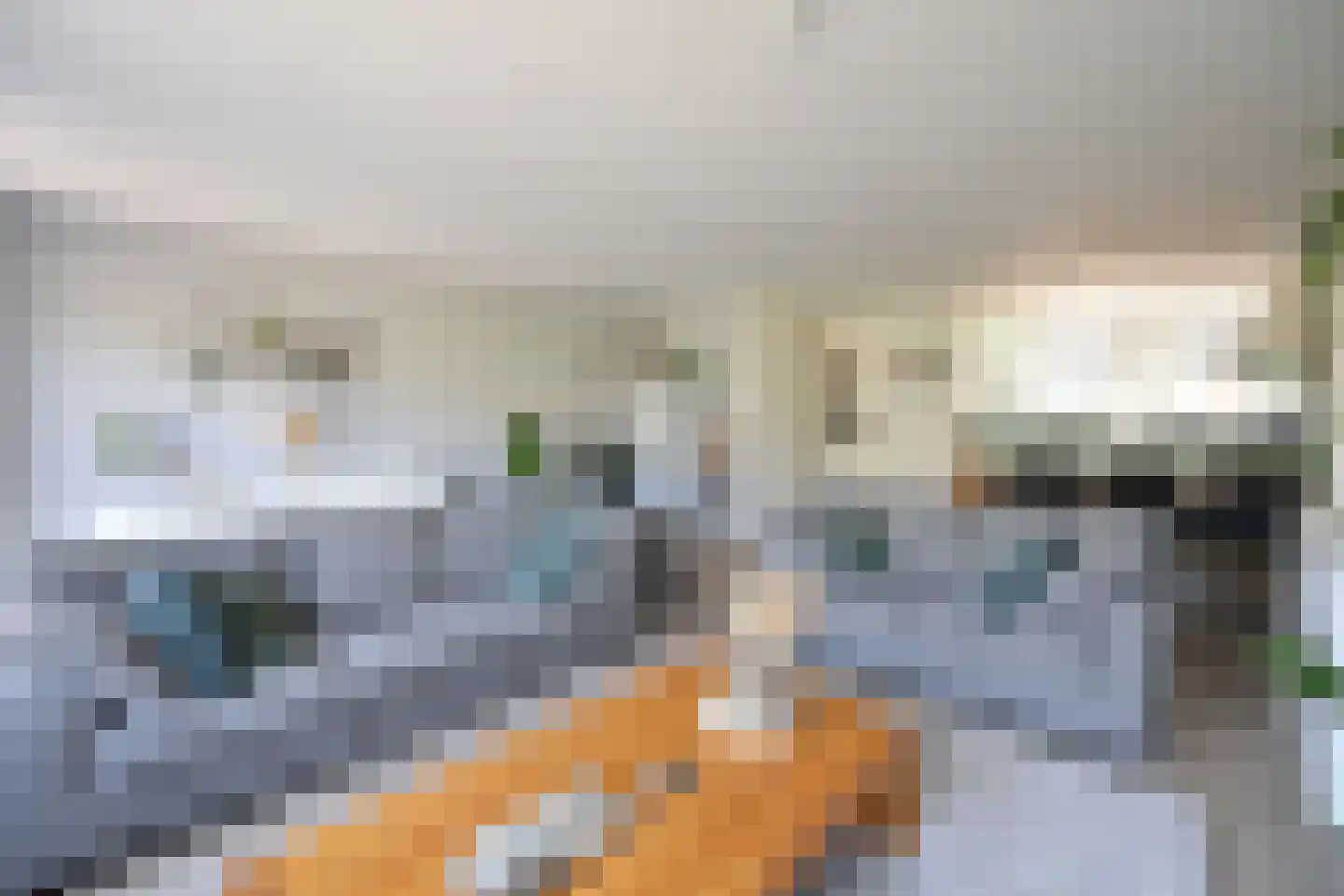 De Geldersman 24 Huizen thumbnail 8