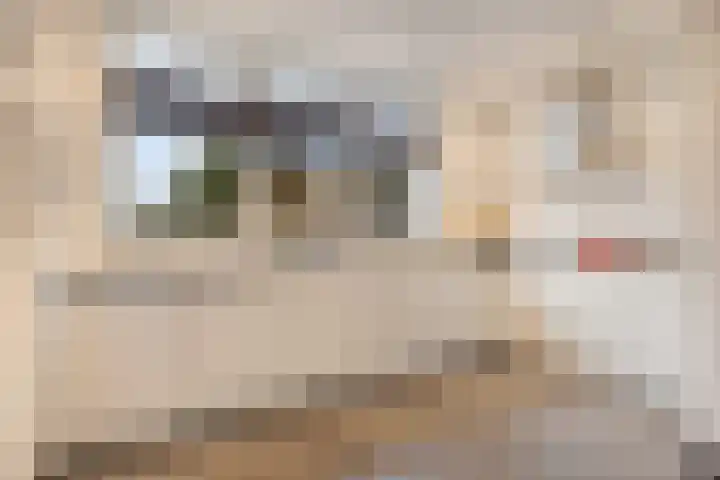 De Gelimment 22 Mheer thumbnail 11
