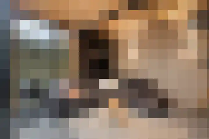 De Gelimment 22 Mheer thumbnail 25