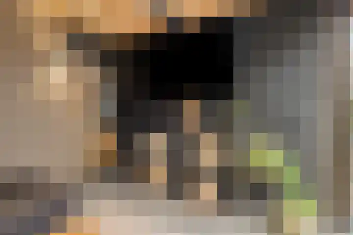 De Gelimment 22 Mheer thumbnail 26