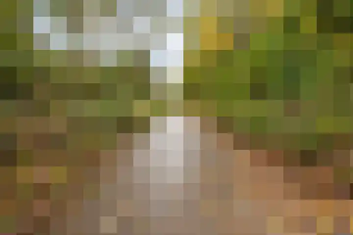 De Gelimment 22 Mheer thumbnail 27