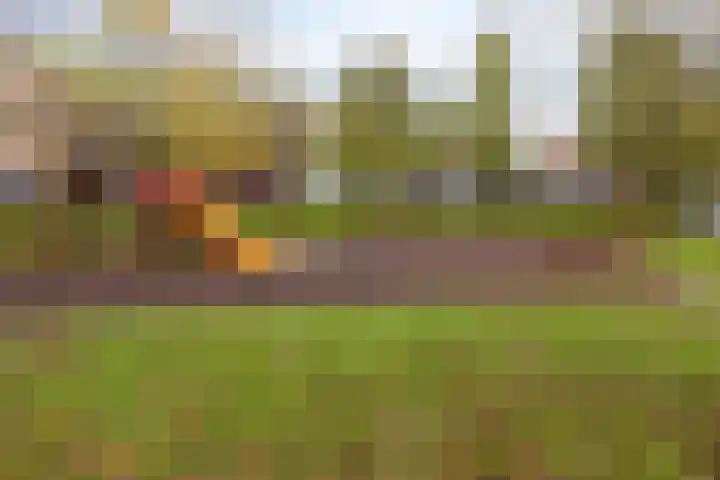 De Gelimment 22 Mheer thumbnail 28