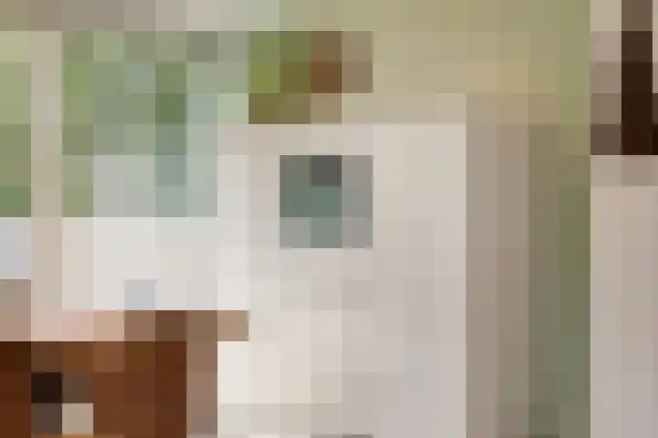 De Gelimment 8 Mheer thumbnail 14