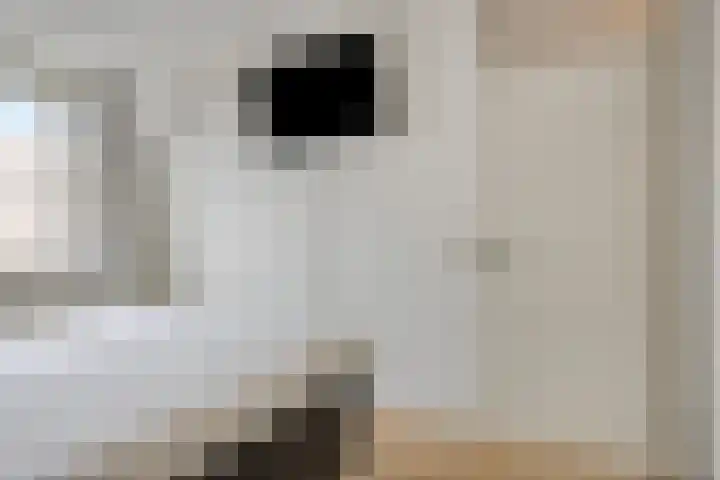 De Gelimment 8 Mheer thumbnail 18