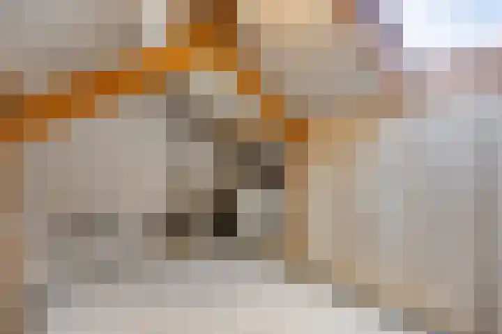 De Gelimment 8 Mheer thumbnail 26