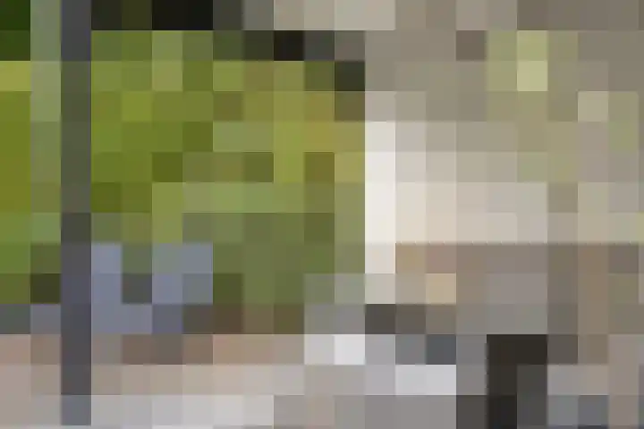 De Gelimment 8 Mheer thumbnail 32