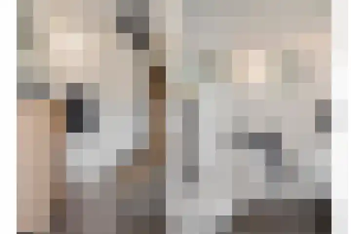 De Gemeint 20 Boekel thumbnail 11