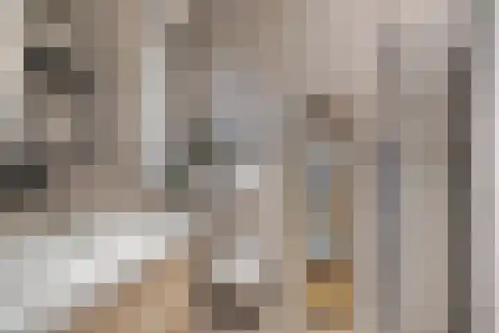 De Gemeint 20 Boekel thumbnail 22