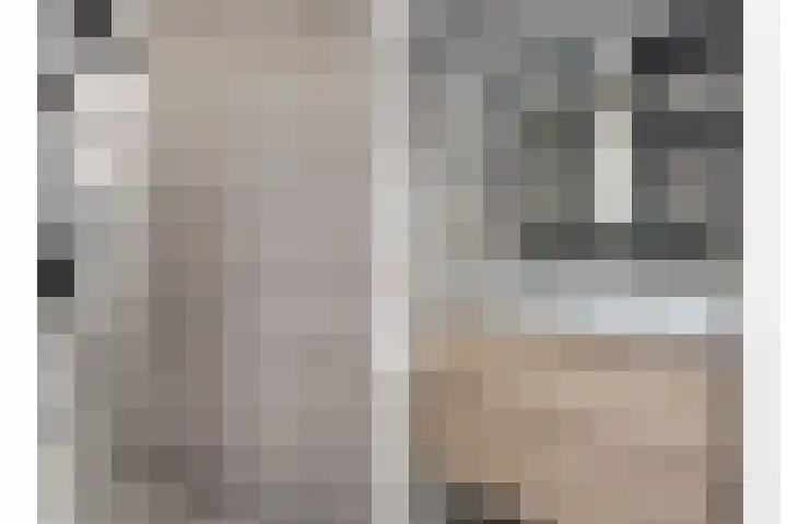 De Gemeint 20 Boekel thumbnail 23