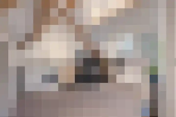 De Gemeint 20 Boekel thumbnail 24