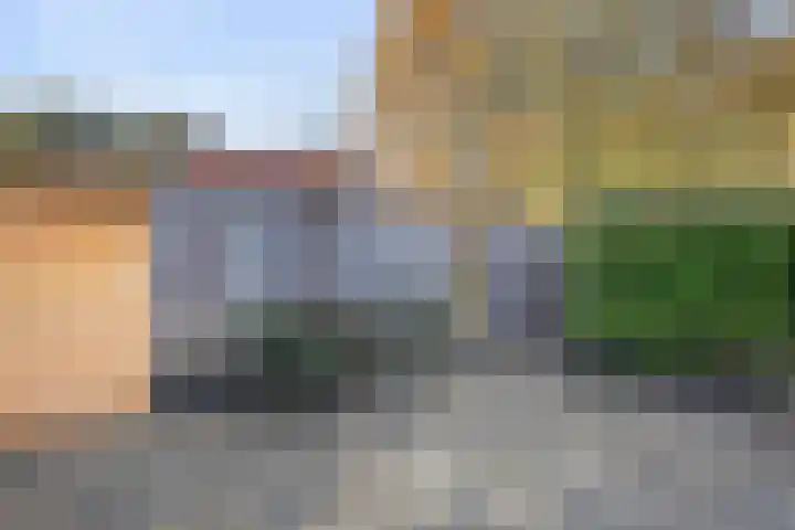 De Gemeint 20 Boekel thumbnail 28