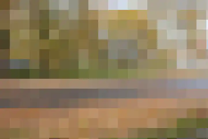 De Gemeint 20 Boekel thumbnail 30
