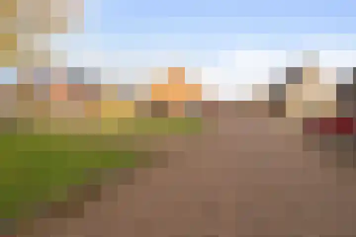 De Gemeint 20 Boekel thumbnail 34