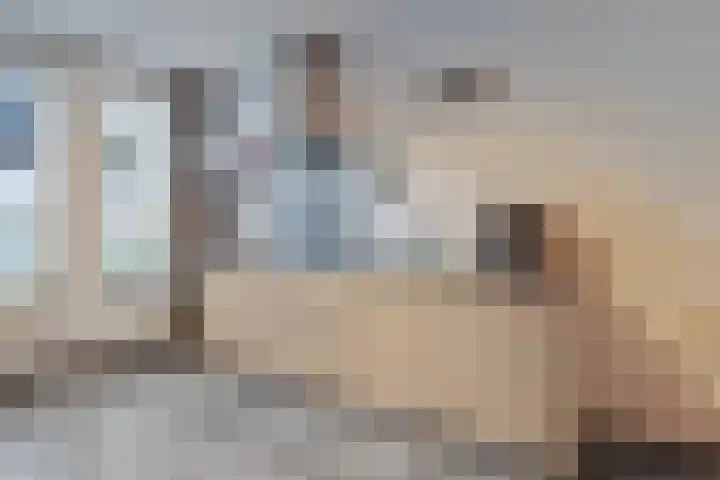 De Gemeint 20 Boekel thumbnail 8