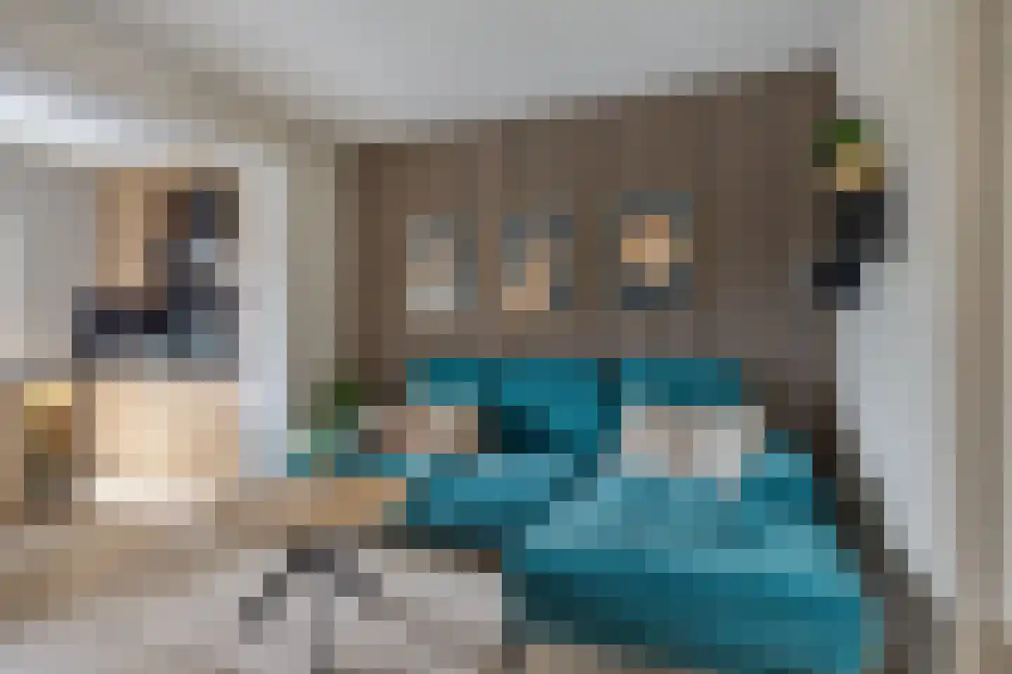 De Gemeint 24 Boekel thumbnail 15