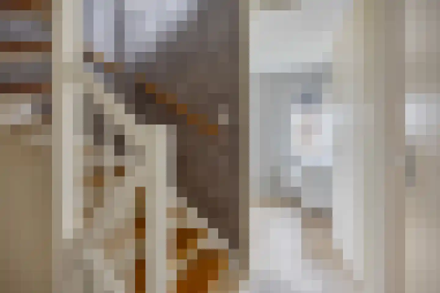 De Gemeint 24 Boekel thumbnail 27