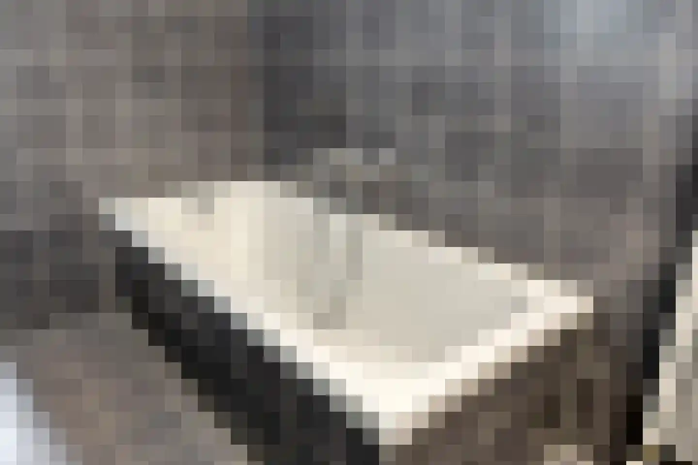 De Gemeint 24 Boekel thumbnail 34