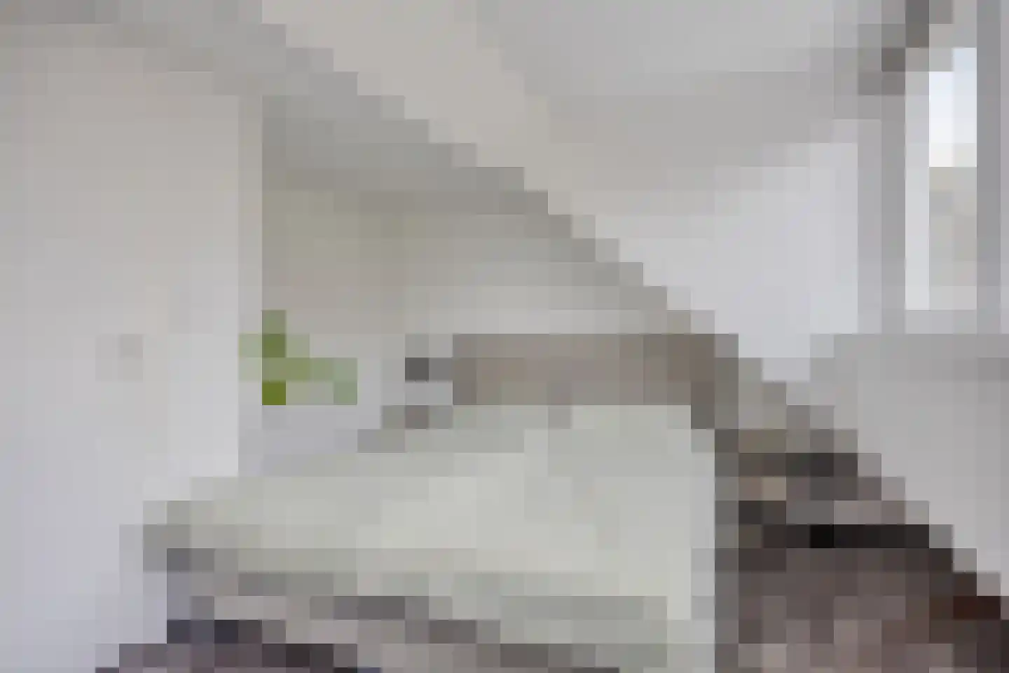 De Gemeint 24 Boekel thumbnail 40