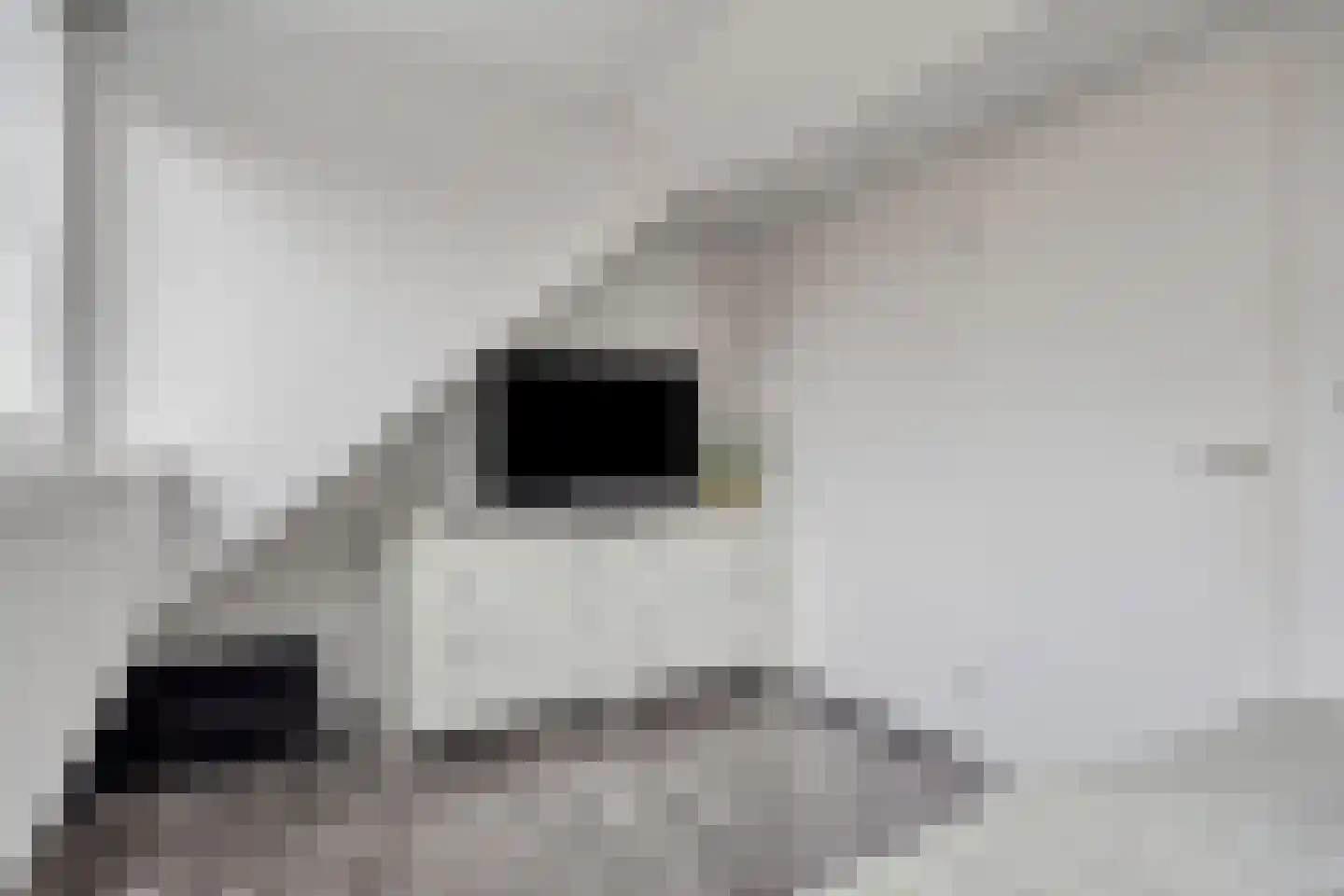 De Gemeint 24 Boekel thumbnail 41