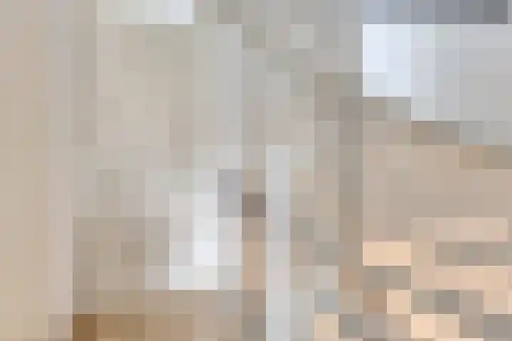 De Gemeint 38 Boekel thumbnail 12