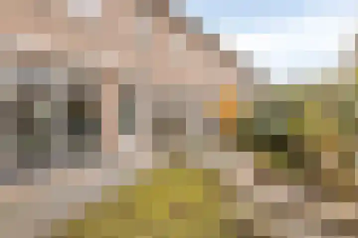 De Gemeint 38 Boekel thumbnail 23