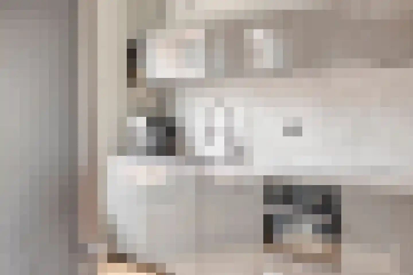 De Gemeint 38 Boekel thumbnail 6