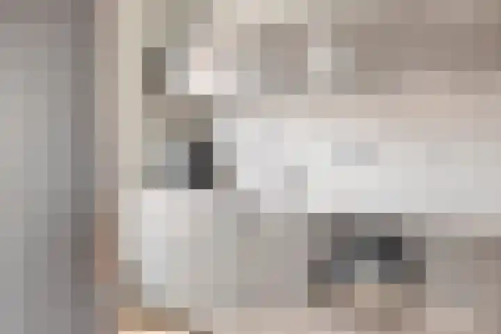 De Gemeint 38 Boekel thumbnail 6