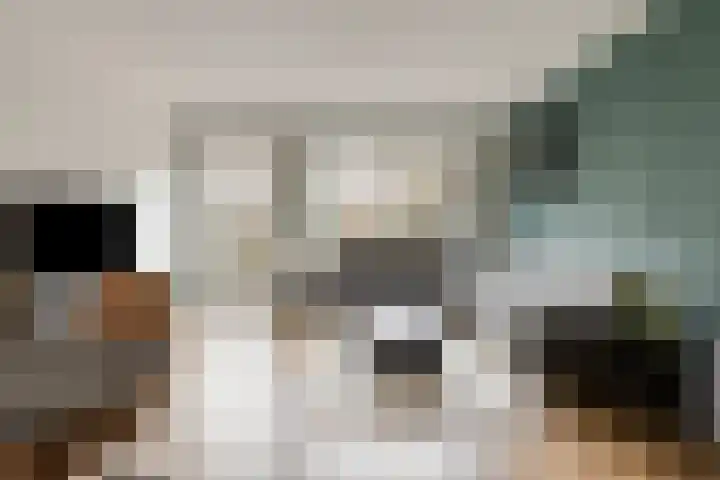 De Gemeint 38 Boekel thumbnail 7