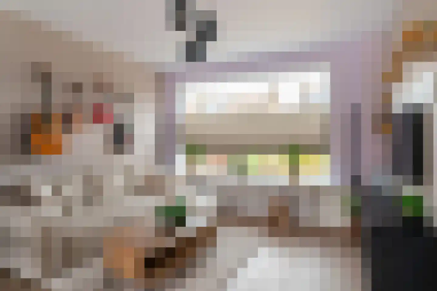 De Gemeint 42 Giesbeek thumbnail 12