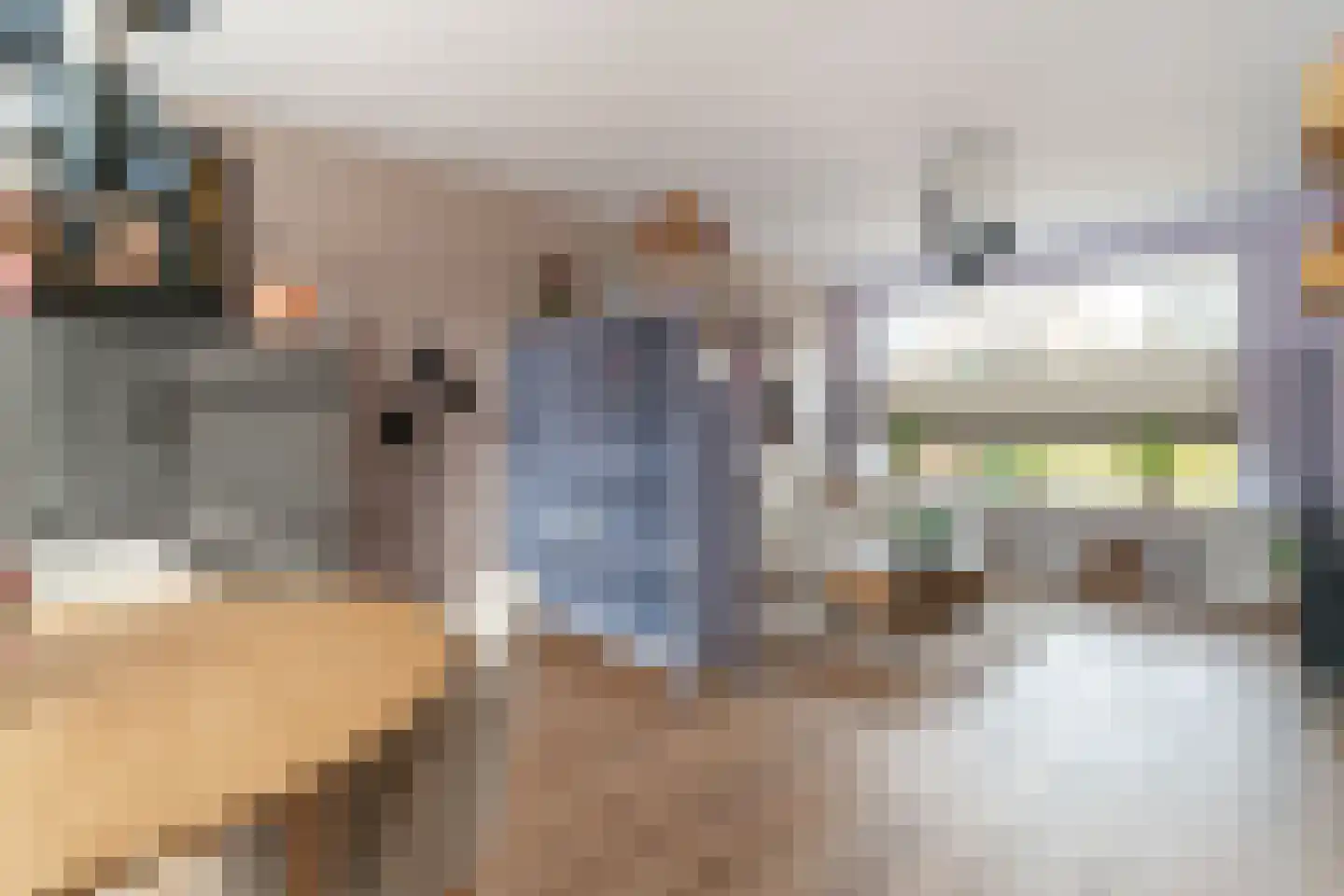De Gemeint 42 Giesbeek thumbnail 15