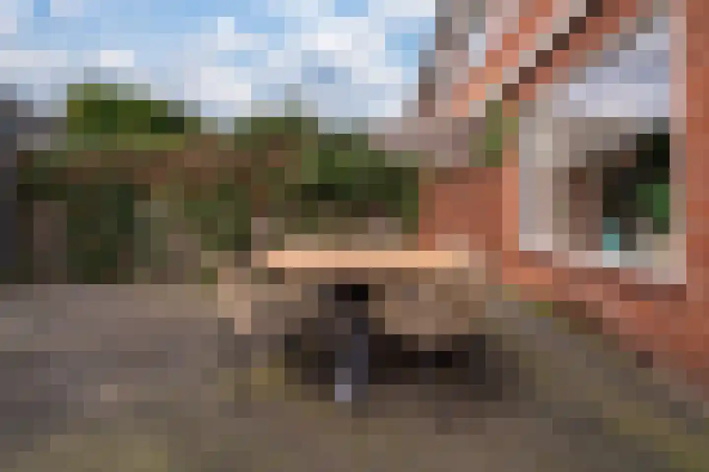 De Gemeint 42 Giesbeek thumbnail 21
