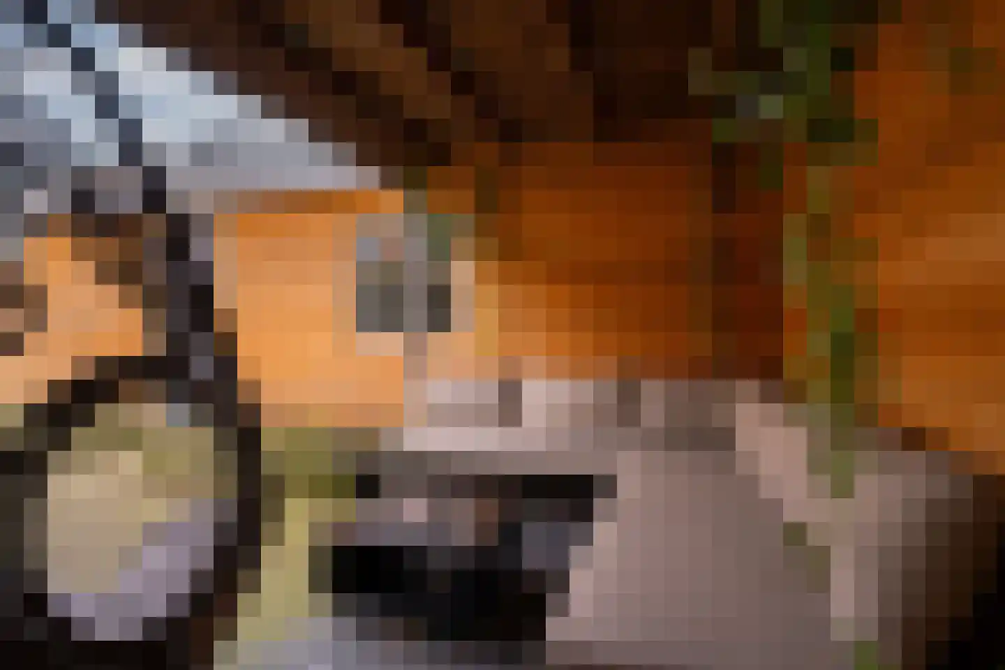 De Gemeint 42 Giesbeek thumbnail 23