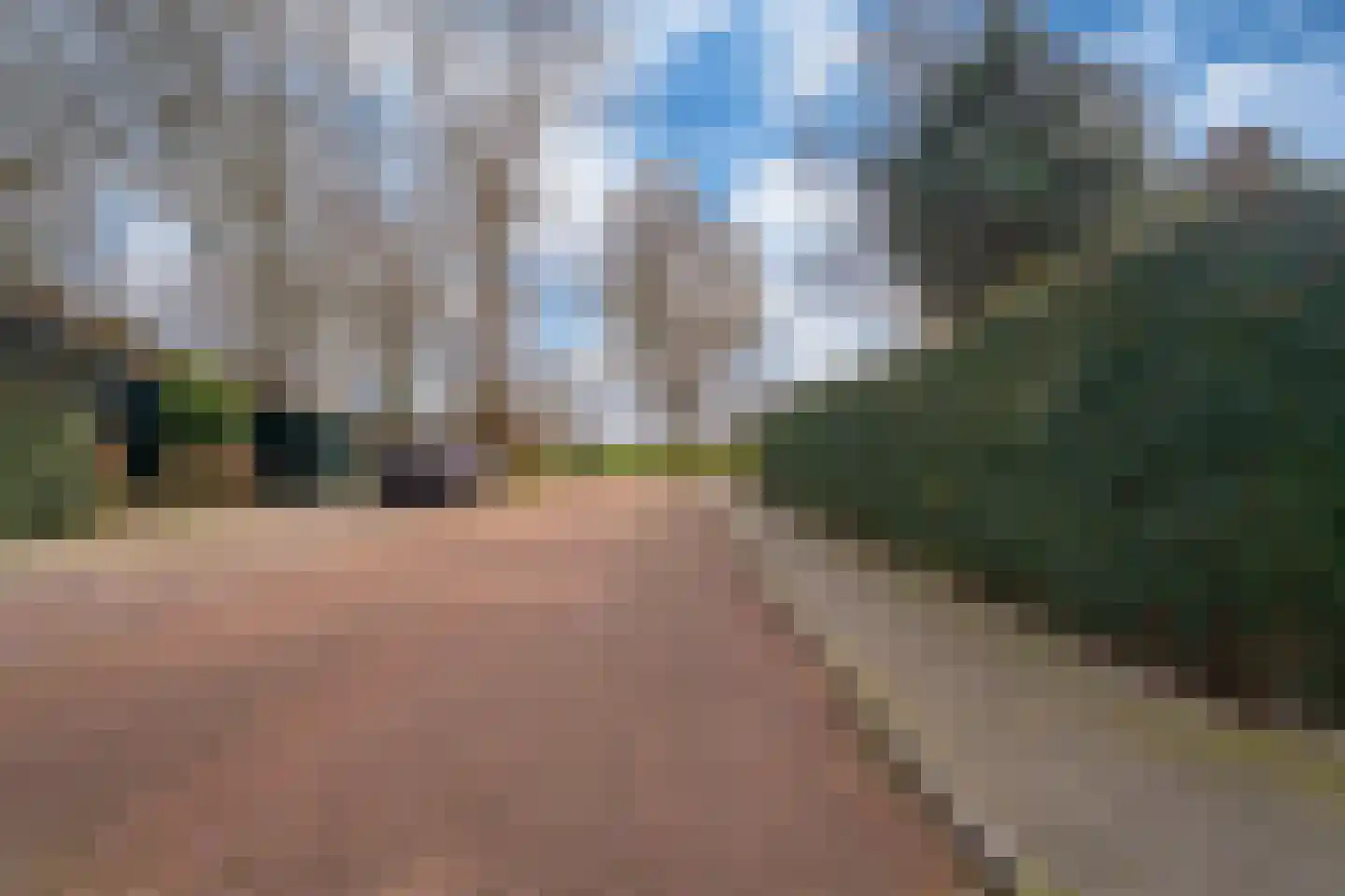 De Gemeint 42 Giesbeek thumbnail 7